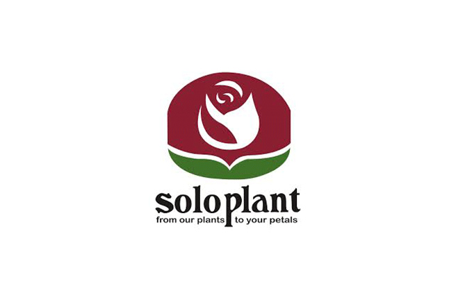 Soloplant
